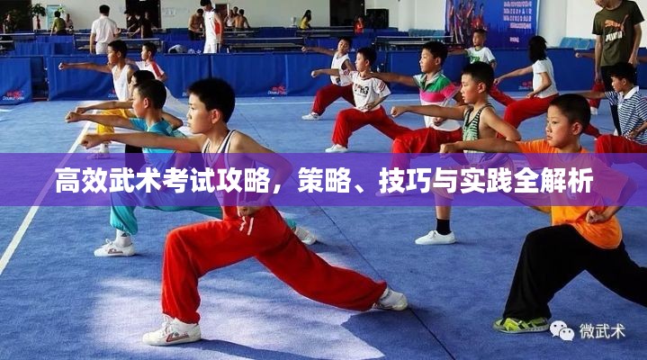 高效武术考试攻略，策略、技巧与实践全解析