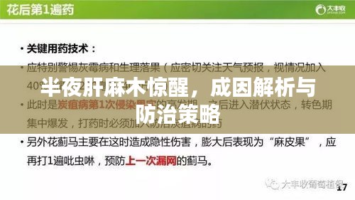 半夜肝麻木惊醒，成因解析与防治策略
