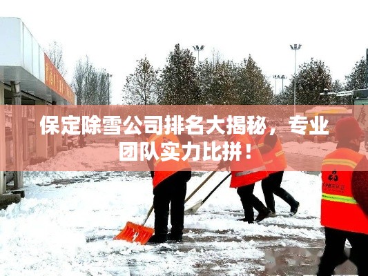 保定除雪公司排名大揭秘，专业团队实力比拼！