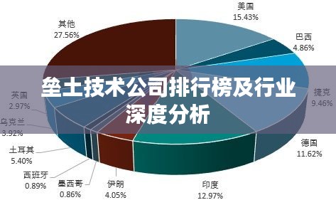 垒土技术公司排行榜及行业深度分析