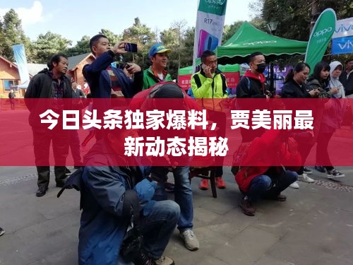 今日头条独家爆料，贾美丽最新动态揭秘