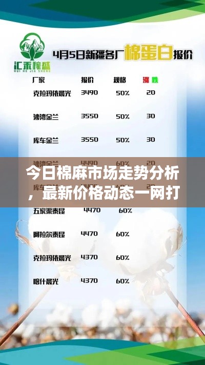 今日棉麻市场走势分析，最新价格动态一网打尽
