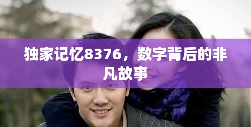 独家记忆8376，数字背后的非凡故事