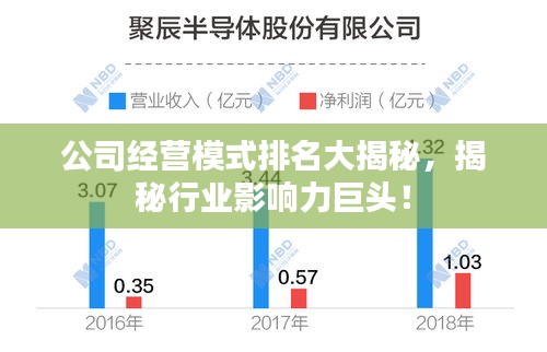 公司经营模式排名大揭秘，揭秘行业影响力巨头！