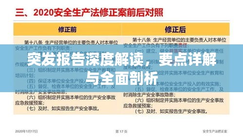 突发报告深度解读，要点详解与全面剖析
