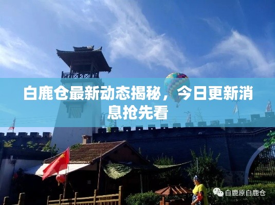 白鹿仓最新动态揭秘，今日更新消息抢先看