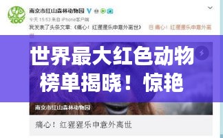 世界最大红色动物榜单揭晓！惊艳色彩震撼你的视觉神经！