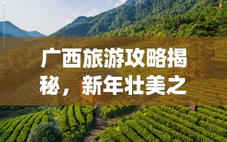 广西旅游攻略揭秘，新年壮美之地探索之旅