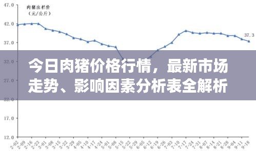 今日肉猪价格行情，最新市场走势、影响因素分析表全解析