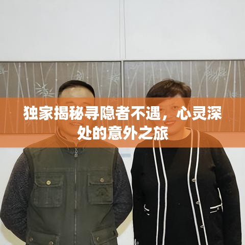 独家揭秘寻隐者不遇，心灵深处的意外之旅