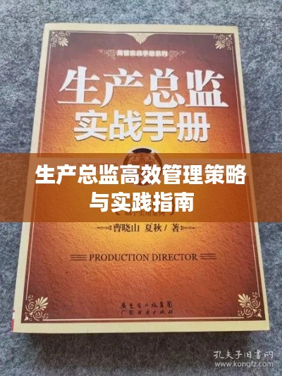 生产总监高效管理策略与实践指南