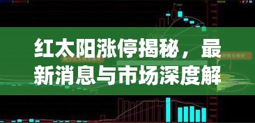 红太阳涨停揭秘，最新消息与市场深度解读