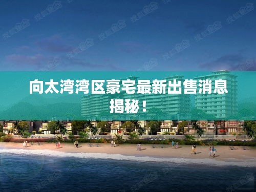 向太湾湾区豪宅最新出售消息揭秘！