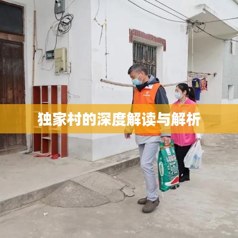 独家村的深度解读与解析