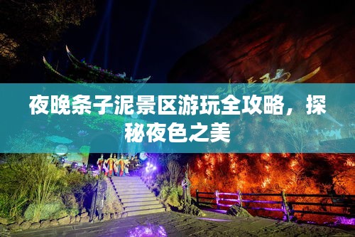 夜晚条子泥景区游玩全攻略，探秘夜色之美