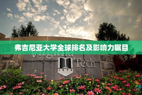 弗吉尼亚大学全球排名及影响力瞩目
