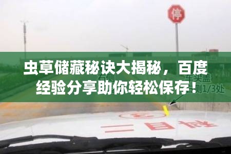 虫草储藏秘诀大揭秘，百度经验分享助你轻松保存！