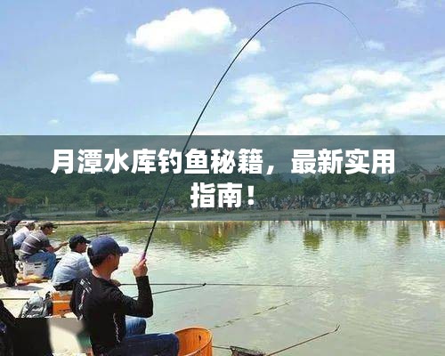 月潭水库钓鱼秘籍，最新实用指南！