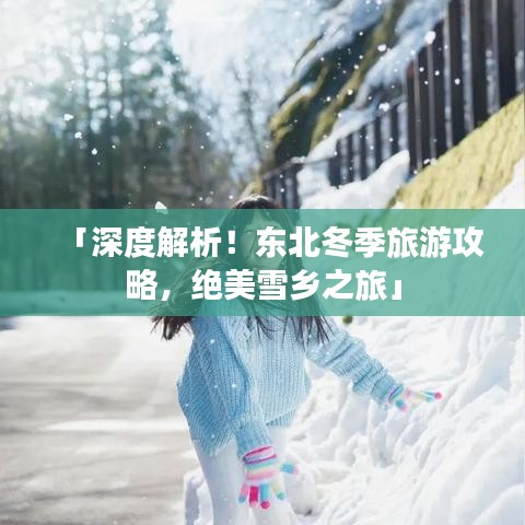 「深度解析！东北冬季旅游攻略，绝美雪乡之旅」