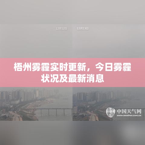 梧州雾霾实时更新，今日雾霾状况及最新消息