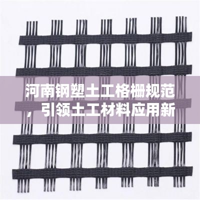 河南钢塑土工格栅规范，引领土工材料应用新标杆