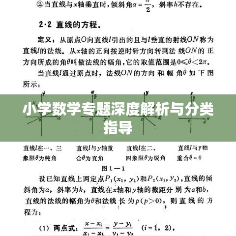 小学数学专题深度解析与分类指导