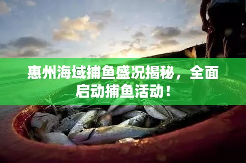 惠州海域捕鱼盛况揭秘，全面启动捕鱼活动！
