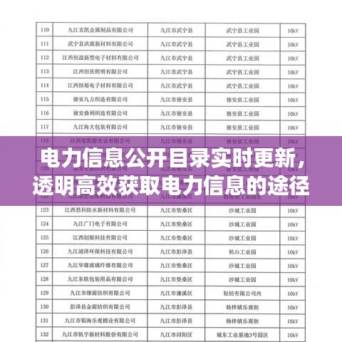 电力信息公开目录实时更新，透明高效获取电力信息的途径查询