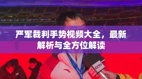 严军裁判手势视频大全，最新解析与全方位解读