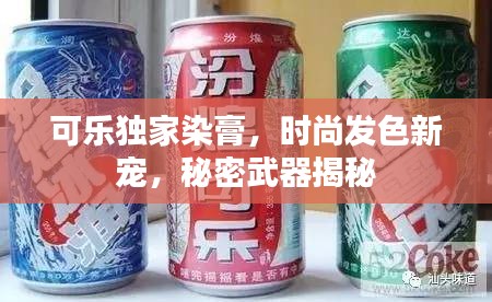 可乐独家染膏，时尚发色新宠，秘密武器揭秘