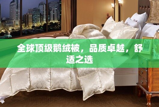 全球顶级鹅绒被，品质卓越，舒适之选