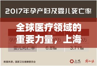 全球医疗领域的重要力量，上海世界医院排名及其影响力概览