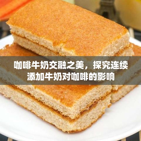 咖啡牛奶交融之美，探究连续添加牛奶对咖啡的影响