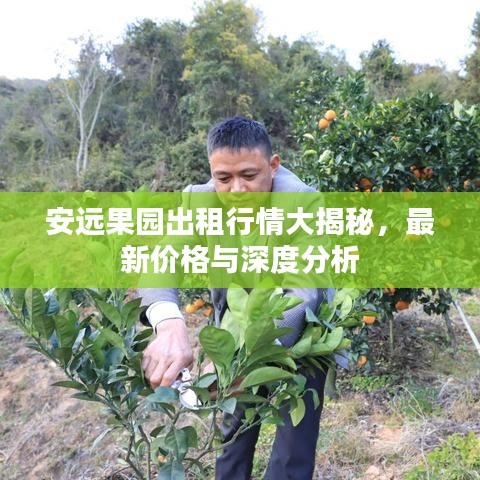 安远果园出租行情大揭秘，最新价格与深度分析