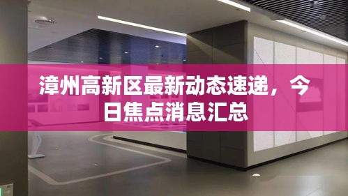 漳州高新区最新动态速递，今日焦点消息汇总