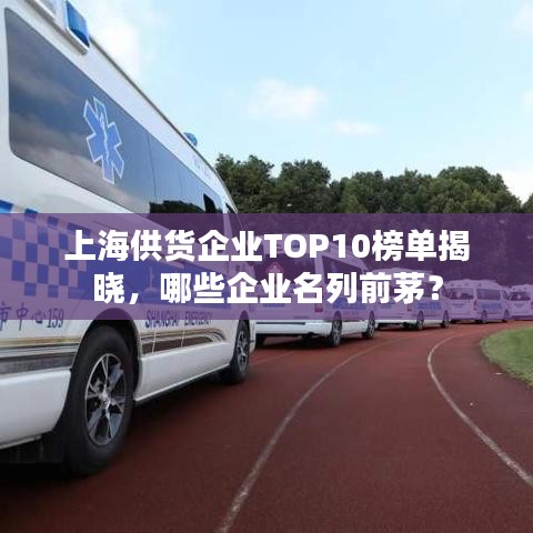 上海供货企业TOP10榜单揭晓，哪些企业名列前茅？