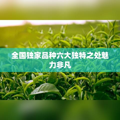 全国独家品种六大独特之处魅力非凡