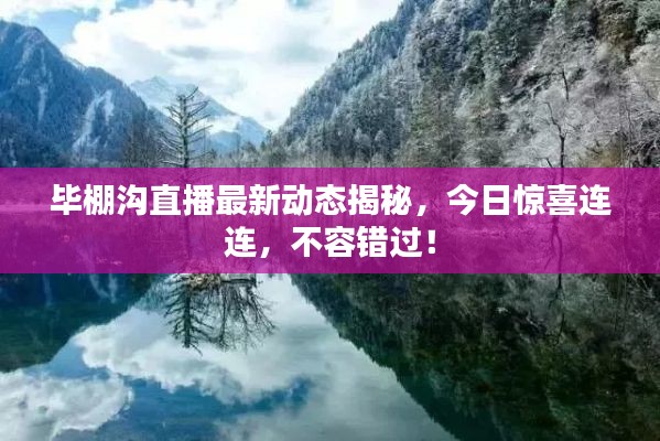 毕棚沟直播最新动态揭秘，今日惊喜连连，不容错过！