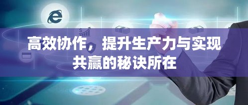 高效协作，提升生产力与实现共赢的秘诀所在