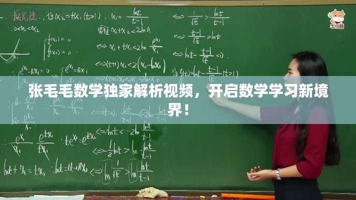 张毛毛数学独家解析视频，开启数学学习新境界！