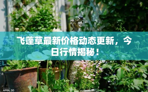 飞蓬草最新价格动态更新，今日行情揭秘！