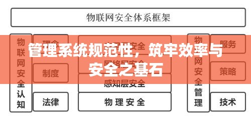管理系统规范性，筑牢效率与安全之基石