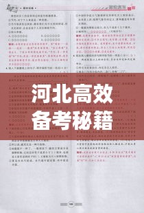 河北高效备考秘籍大揭秘！