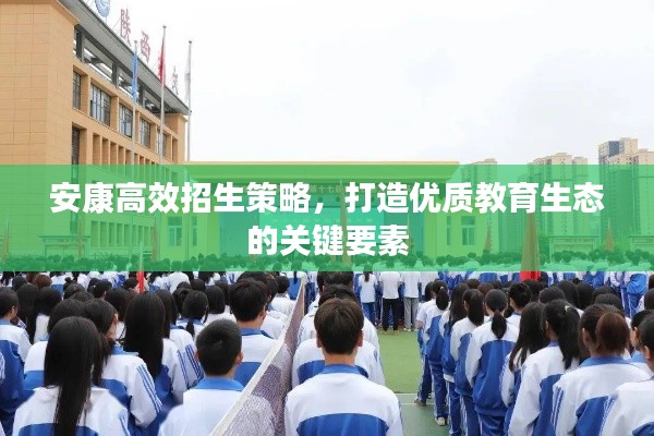 安康高效招生策略，打造优质教育生态的关键要素