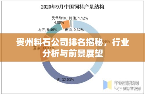 贵州料石公司排名揭秘，行业分析与前景展望