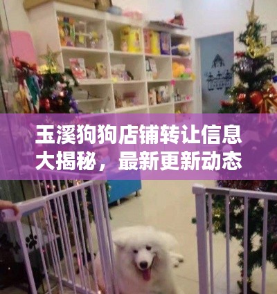 玉溪狗狗店铺转让信息大揭秘，最新更新动态！