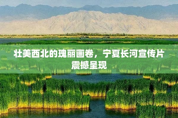 壮美西北的瑰丽画卷，宁夏长河宣传片震撼呈现
