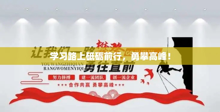 学习路上砥砺前行，勇攀高峰！