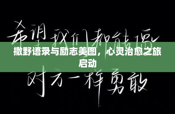 撒野语录与励志美图，心灵治愈之旅启动