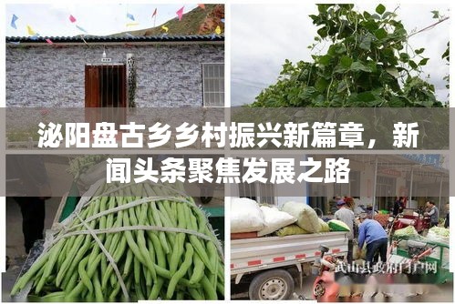 泌阳盘古乡乡村振兴新篇章，新闻头条聚焦发展之路